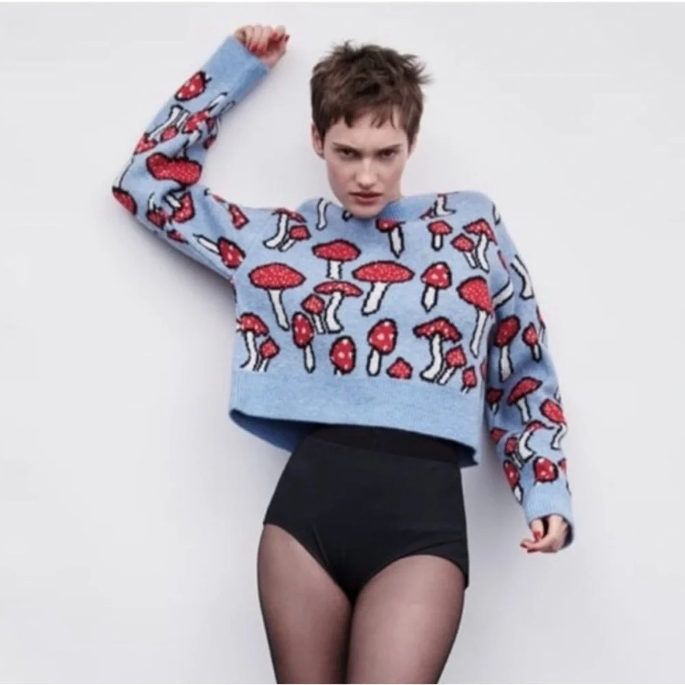 Zara Light Blue Knit Sweater with Red Mushroom Motif